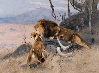 Löwe und Löwin