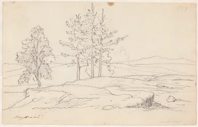 Schwedische Landschaft
