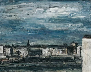 Mondnacht am Murufer in Graz