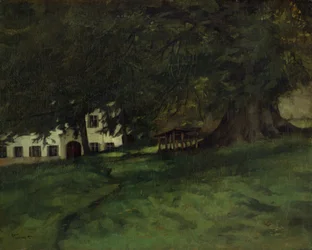 Linde auf Herrenchiemsee