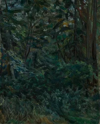 Waldinneres