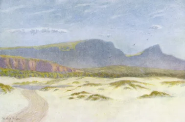 Sanddünen