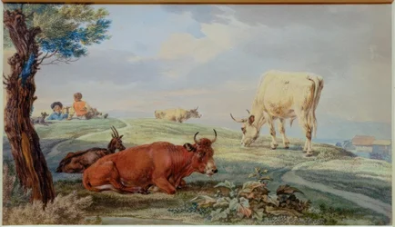 Weidelandschaft aus dem bayerischen Oberland