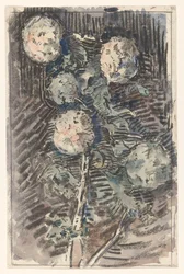 Zweig mit weißen Blumen
