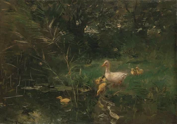 Enten