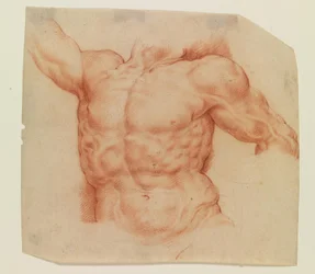 Vorderansicht des Torsos des Laokoon