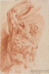 Laokoon. Laokoons Torso von unten rechts gesehen.