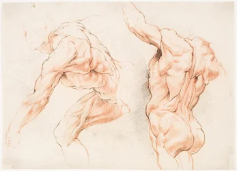 Zwei anatomische Studien eines Mannes, der sich nach links lehnt, und eines anderen von hinten mit erhobenem Arm (Écorché)