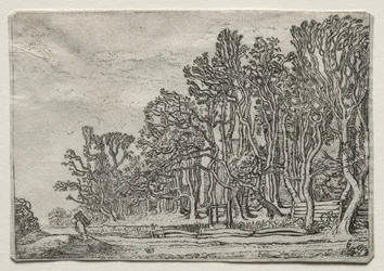 Das Set der Landschaften: Zwei Planken-Hecken