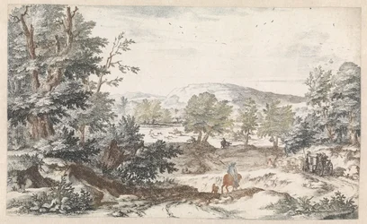 Waldlandschaft mit einem Weg