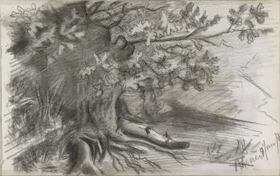 Landschaft mit einem großen Baum in Rhenen