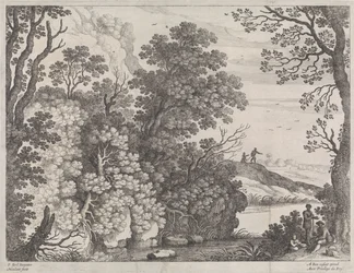 Waldlandschaft