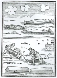 Faksimile des Hieroglyphen der Großen Pest aus 
