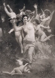 Ein Nest von Cupidos