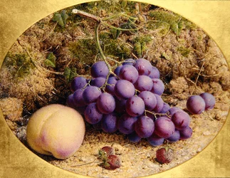 Trauben und Pfirsich auf einem moosigen Ufer