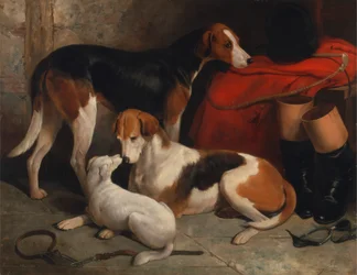 Ein Paar Foxhounds mit einem Terrier, im Besitz von Lord Henry Bentinck