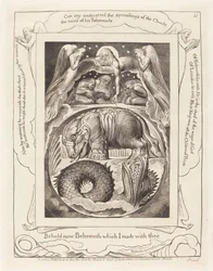 Behemoth und Leviathan