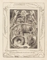 Behemoth und Leviathan
