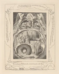 Buch Hiob, Platte 15, Behemoth und Leviathan