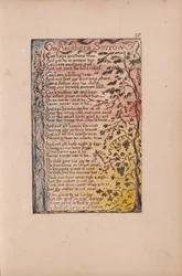 Lieder der Unschuld und der Erfahrung, Tafel 28, Über fremdes Leid (Bentley 27)