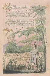 Lieder der Unschuld und der Erfahrung, Platte 4, "Der Hirte" (Bentley 5)