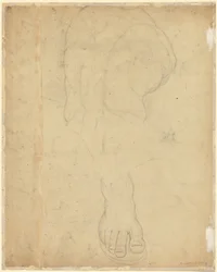 Der Belvedere Torso [verso]