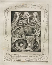 Das Buch Hiob: Pl. 15, Siehe jetzt Behemoth, das ich mit dir gemacht habe