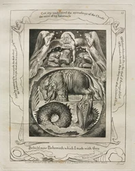 Das Buch Hiob: Pl. 15, Siehe jetzt Behemoth, den ich mit dir gemacht habe, 1825