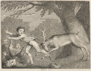 Der zahme Hirsch