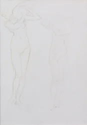 Studie