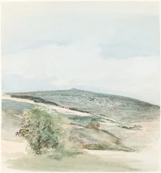 Eine Heide in Sussex