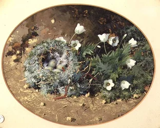 Vogelnest mit weißen Glockenblumen