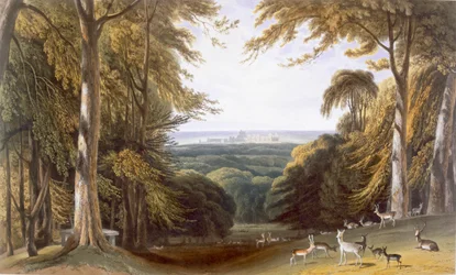 Schlucht im Windsor Park nahe Bishops Gate, ca. 1827-30