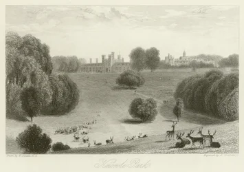 Knowle Park