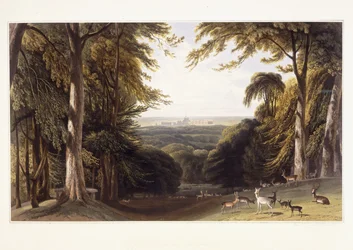 Schloss Windsor vom Hirschpark aus, ca. 1827-1829
