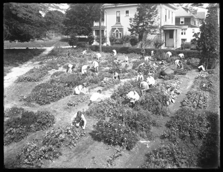 Vogelperspektive von Kindern, die im Garten der Poppenhusen-Filiale der Queens Borough Public Library arbeiten, 14. August 1915