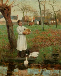 Die Enten füttern