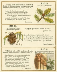 Seite aus dem Bibel-Emblem-Jubiläumsbuch