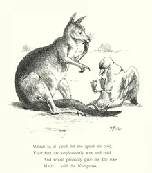 Die Ente und das Känguru (Gravur)
