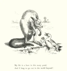 Die Ente und das Känguru (Gravur)