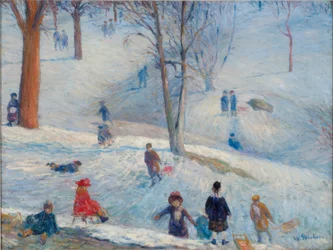 Rodeln, Central Park
