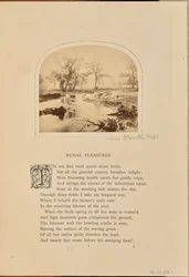 Pastorale Szene mit Vieh auf einem überfluteten Feld, England
