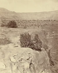 Plateau, nördlich des Grand Canyon