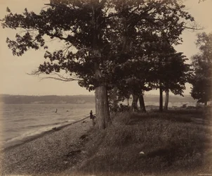 Cayuga-See, Sheldrake