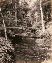 Owasco-See, Cascade Glen, für die Lehigh Valley Railroad