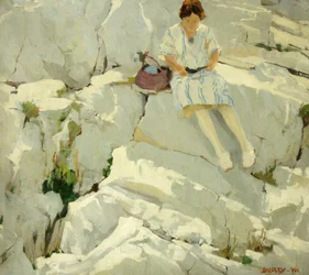 Schmetterling auf den Felsen
