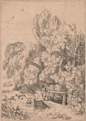 Landschaft mit Bäumen, Mädchen überquert Fußbrücke