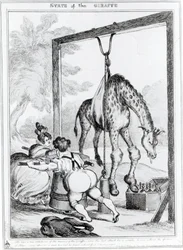 Zustand der Giraffe, 1829