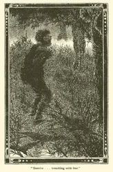 Illustration für Don Quijote