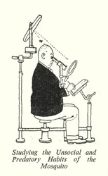 Studium der unsozialen und räuberischen Gewohnheiten der Mücke (Lithografie)